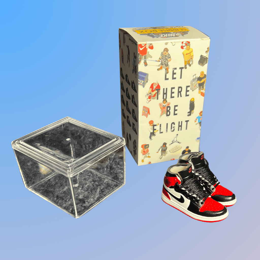 Mini Sneaker Collectors Mystery Box (Jordan)