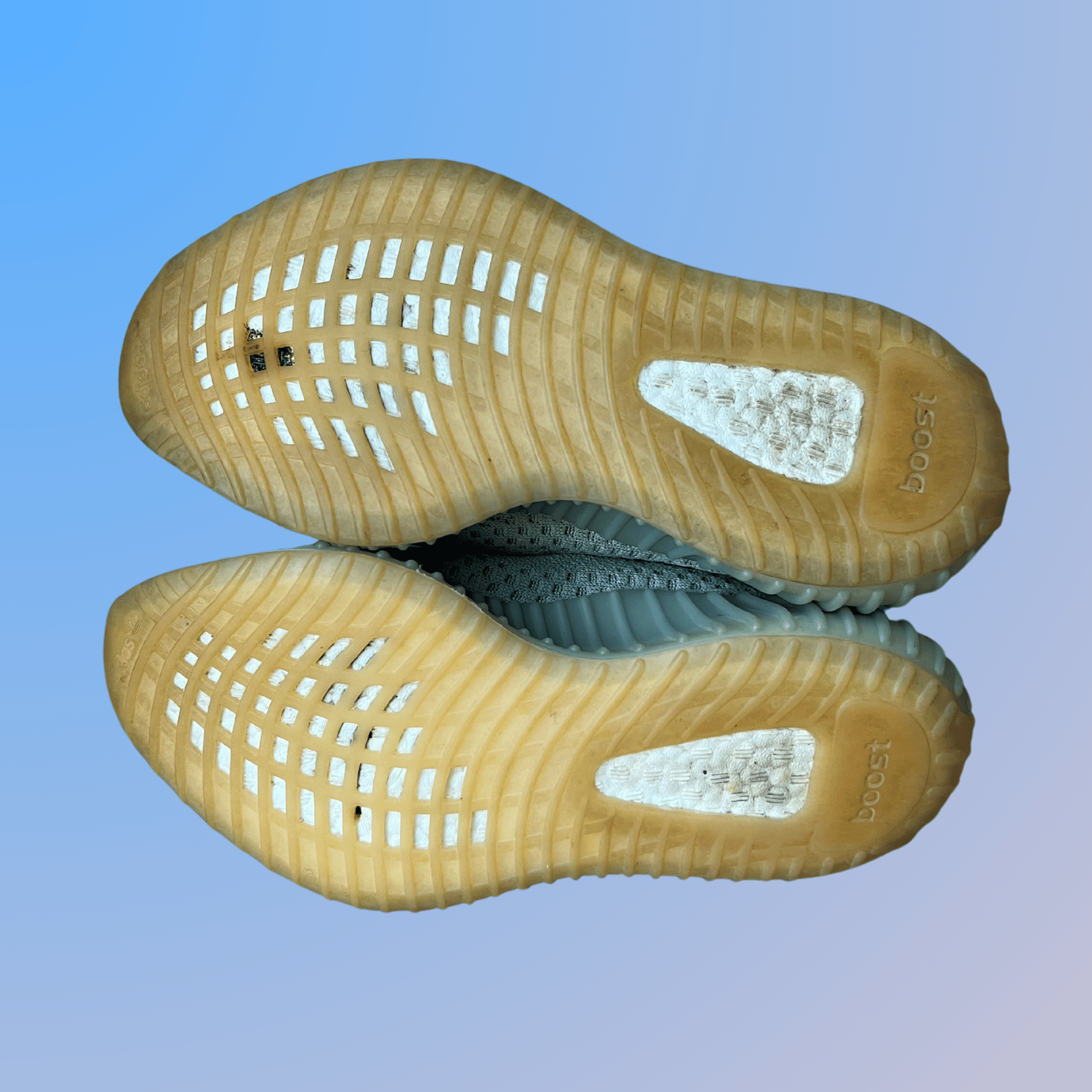 Yeezy 350 Desert Sage (Used)