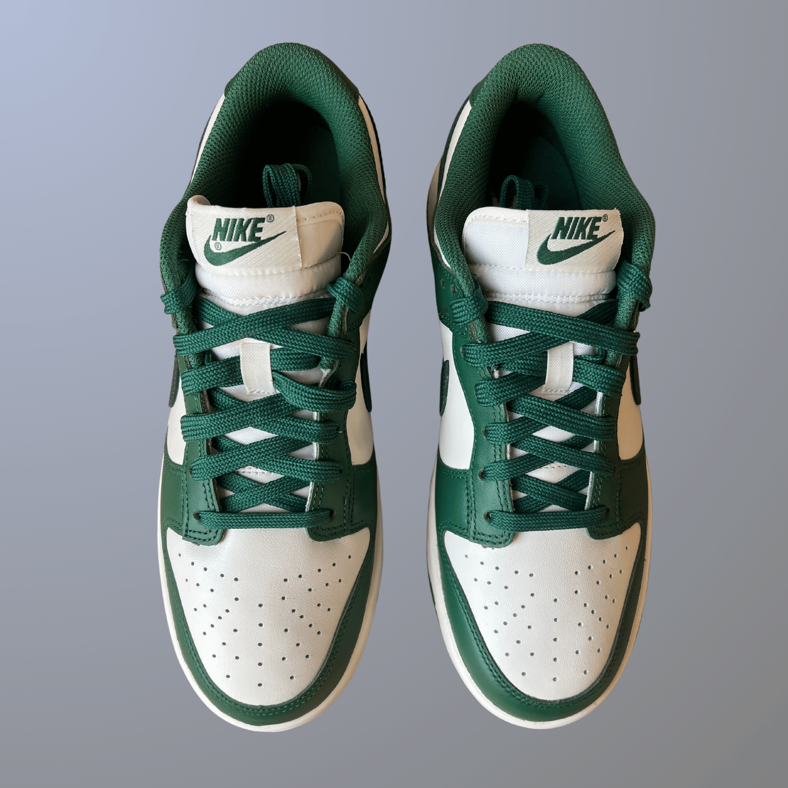 Nike Dunk Low Gorge Green (new)