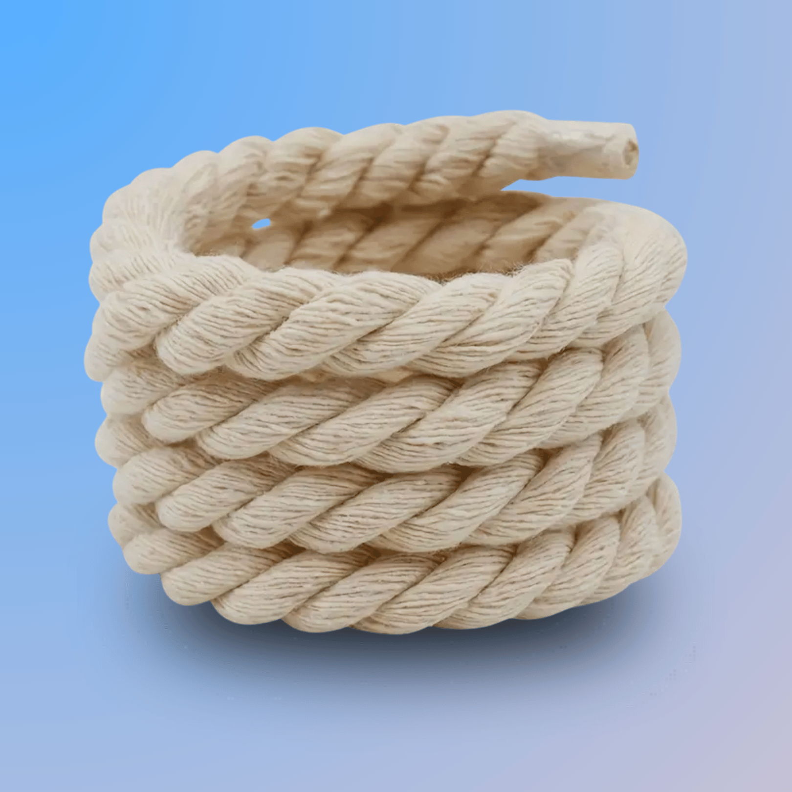 Rope Lace (8mm)