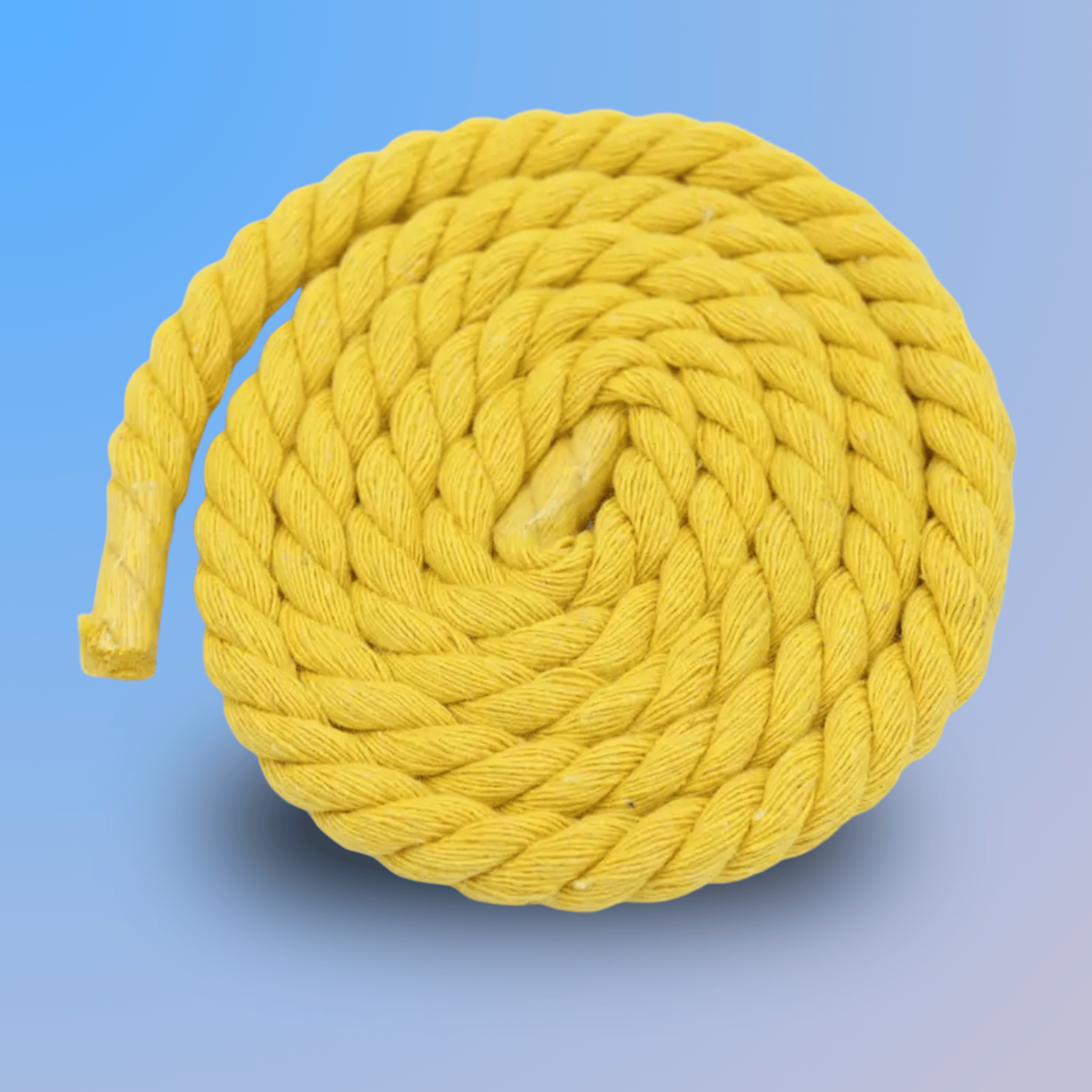 Rope Lace (8mm)