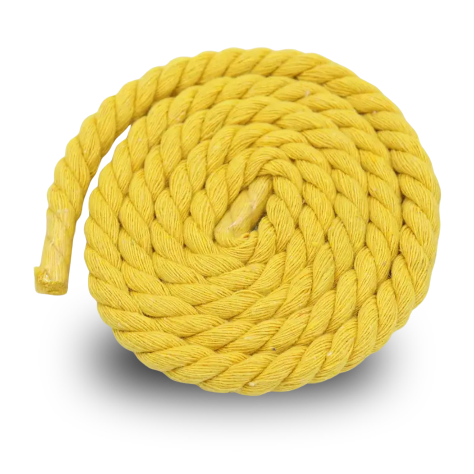 Rope Lace (8mm)