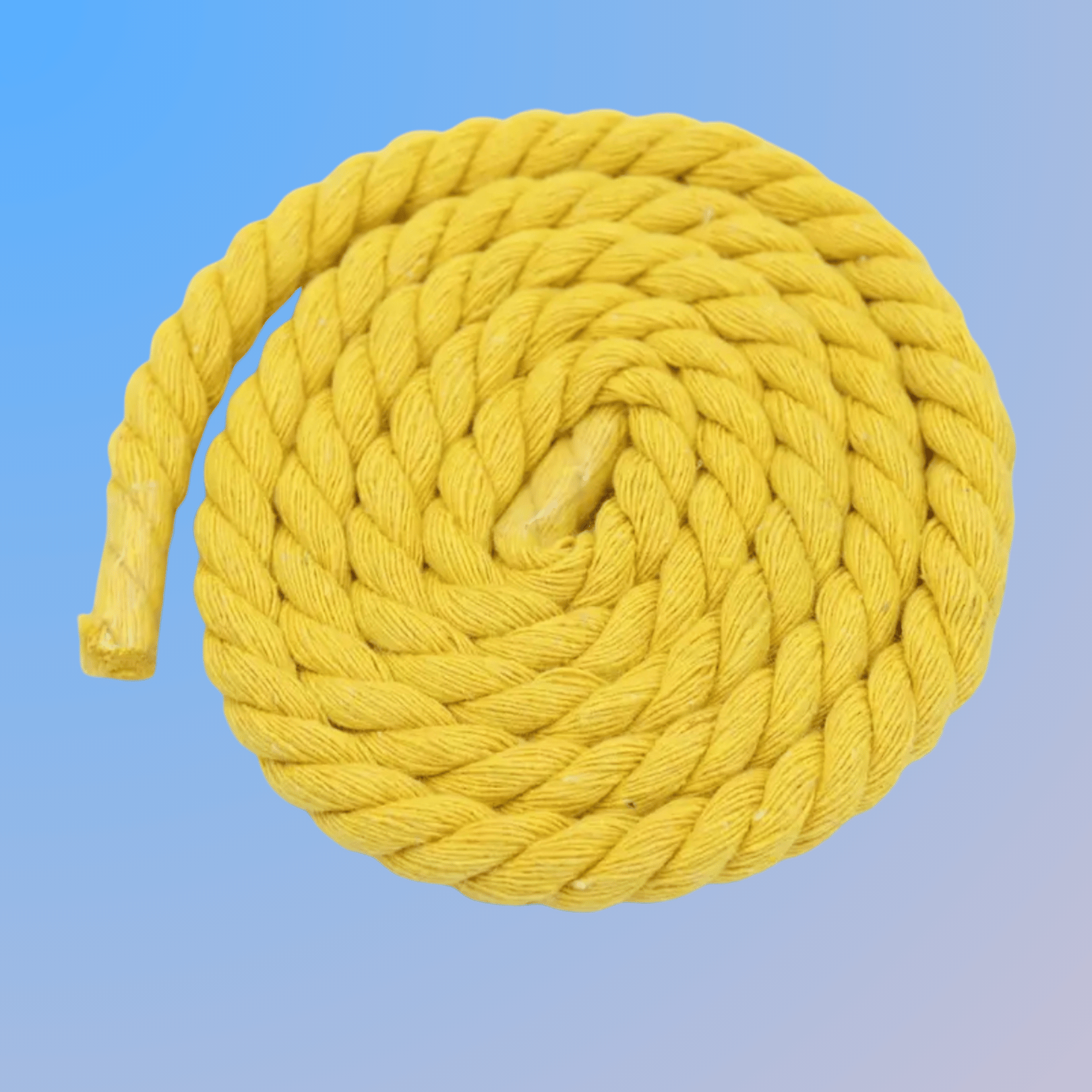 Rope Lace (8mm)