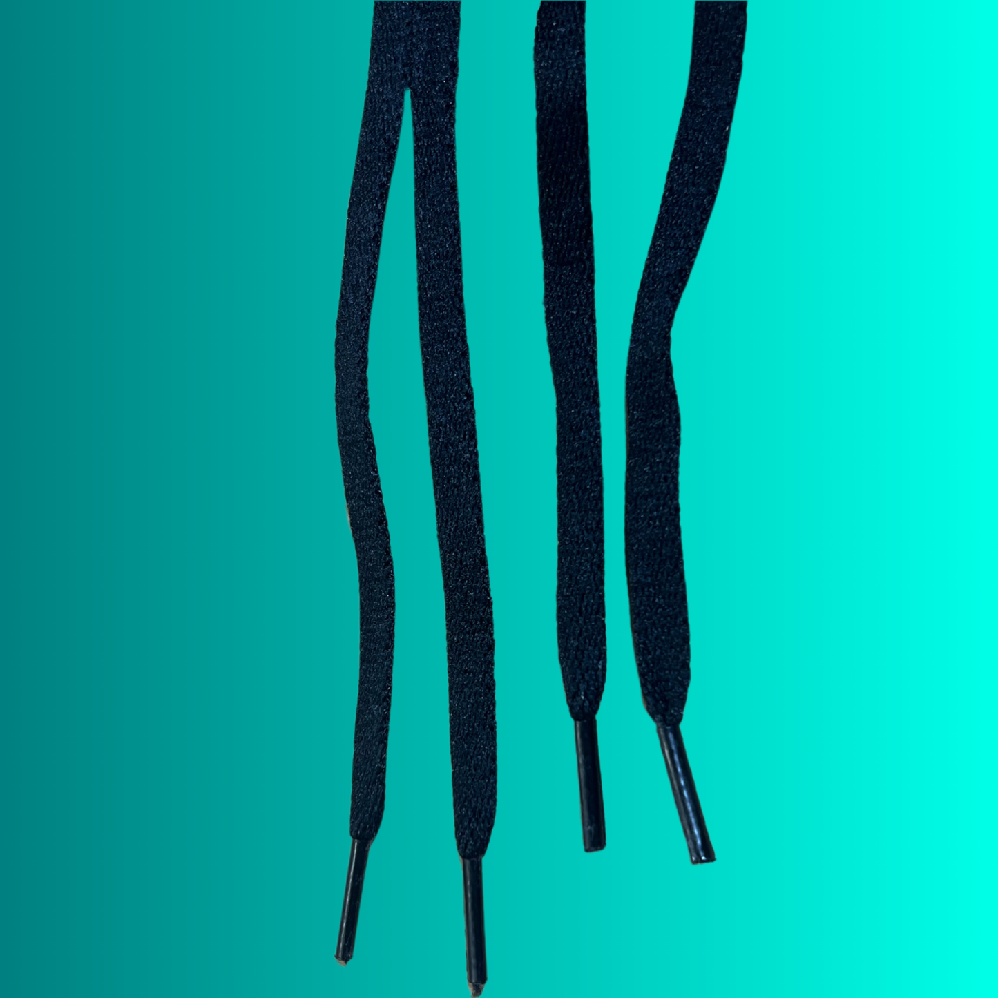 Black Shoe Lace